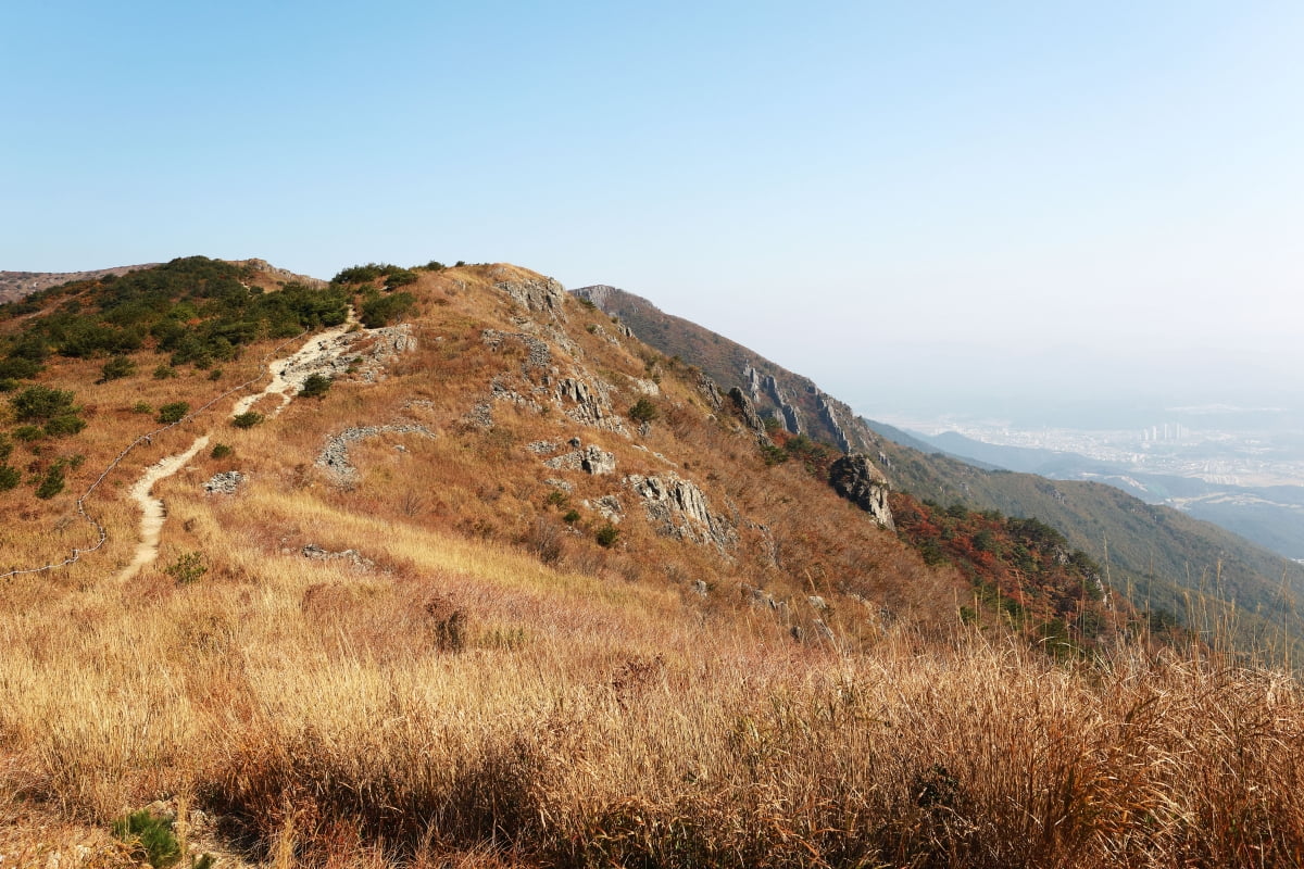 울산 울주 간월재. 사진=게티이미지뱅크