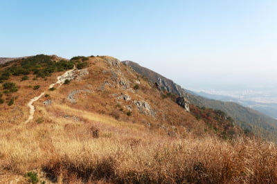 "가을 단풍 여행 여기로 가세요"…'핫플 27곳' 명단 떴다