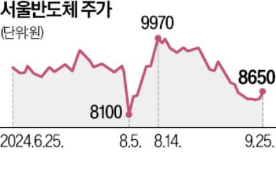 서울반도체 '노와이어' LED 특허, 유럽 전역 승소