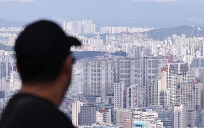 "'을사오적'이냐" 영끌족 분노하더니…이번엔 개미들 뿔났다 [돈앤톡]